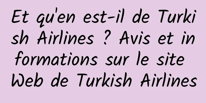 Et qu'en est-il de Turkish Airlines ? Avis et informations sur le site Web de Turkish Airlines