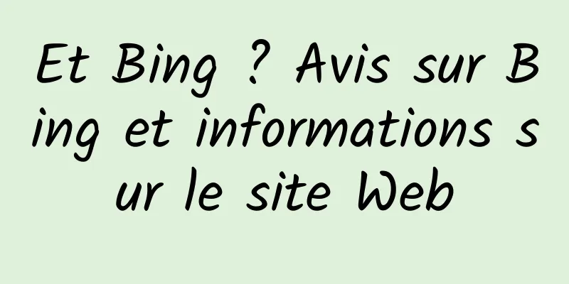 Et Bing ? Avis sur Bing et informations sur le site Web