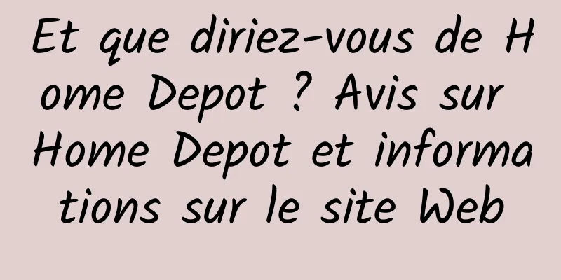 Et que diriez-vous de Home Depot ? Avis sur Home Depot et informations sur le site Web