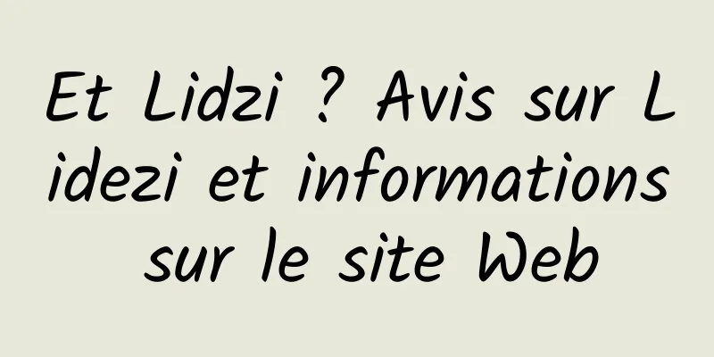Et Lidzi ? Avis sur Lidezi et informations sur le site Web