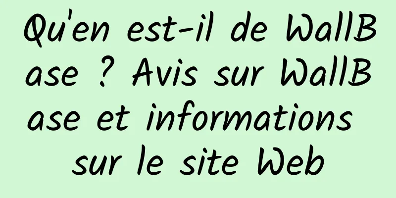 Qu'en est-il de WallBase ? Avis sur WallBase et informations sur le site Web