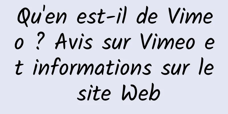 Qu'en est-il de Vimeo ? Avis sur Vimeo et informations sur le site Web