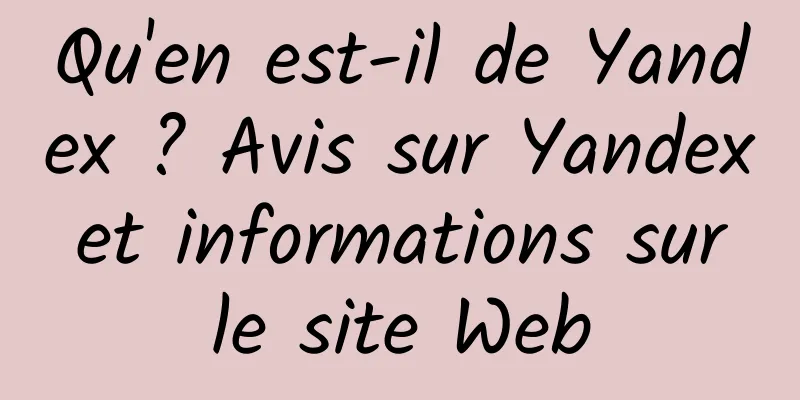 Qu'en est-il de Yandex ? Avis sur Yandex et informations sur le site Web