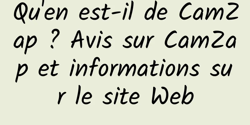 Qu'en est-il de CamZap ? Avis sur CamZap et informations sur le site Web
