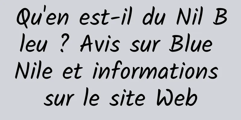 Qu'en est-il du Nil Bleu ? Avis sur Blue Nile et informations sur le site Web