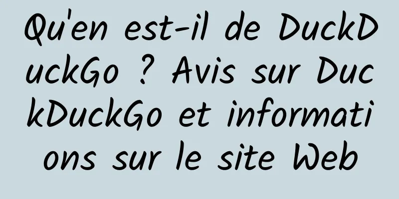 Qu'en est-il de DuckDuckGo ? Avis sur DuckDuckGo et informations sur le site Web