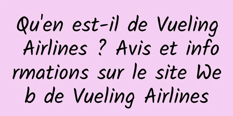 Qu'en est-il de Vueling Airlines ? Avis et informations sur le site Web de Vueling Airlines