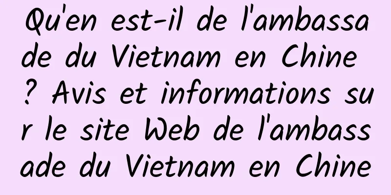 Qu'en est-il de l'ambassade du Vietnam en Chine ? Avis et informations sur le site Web de l'ambassade du Vietnam en Chine