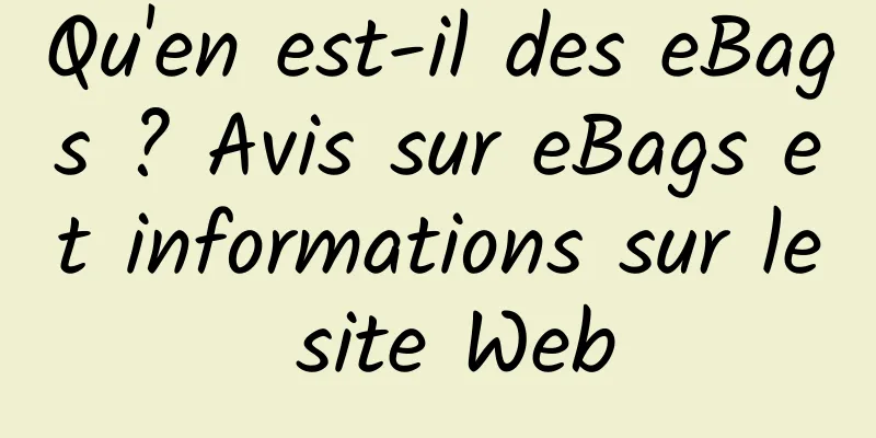 Qu'en est-il des eBags ? Avis sur eBags et informations sur le site Web