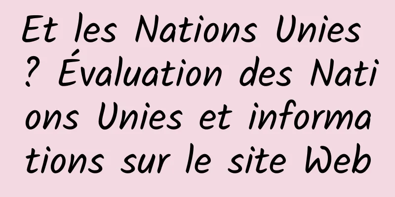 Et les Nations Unies ? Évaluation des Nations Unies et informations sur le site Web