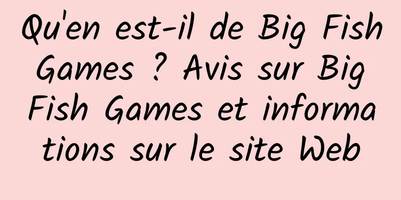 Qu'en est-il de Big Fish Games ? Avis sur Big Fish Games et informations sur le site Web