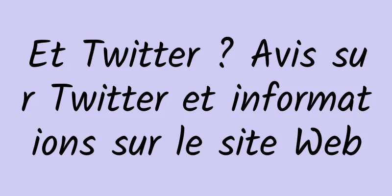 Et Twitter ? Avis sur Twitter et informations sur le site Web