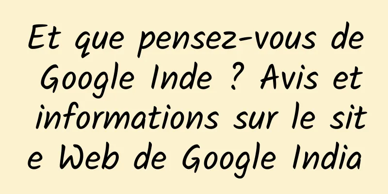 Et que pensez-vous de Google Inde ? Avis et informations sur le site Web de Google India