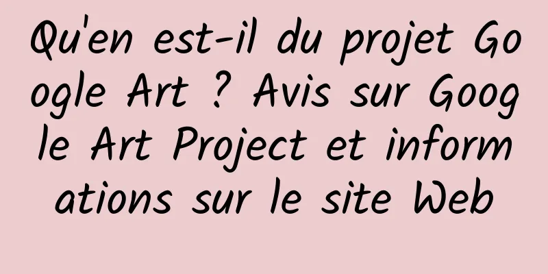 Qu'en est-il du projet Google Art ? Avis sur Google Art Project et informations sur le site Web