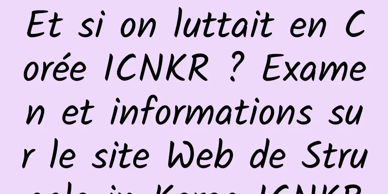 Et si on luttait en Corée ICNKR ? Examen et informations sur le site Web de Struggle in Korea ICNKR