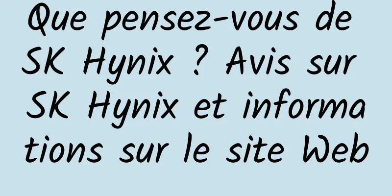 Que pensez-vous de SK Hynix ? Avis sur SK Hynix et informations sur le site Web