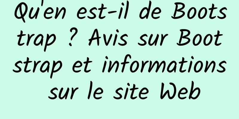 Qu'en est-il de Bootstrap ? Avis sur Bootstrap et informations sur le site Web