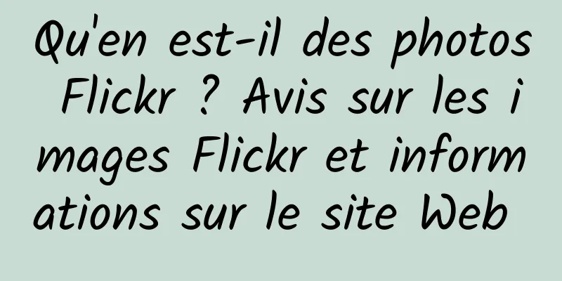 Qu'en est-il des photos Flickr ? Avis sur les images Flickr et informations sur le site Web 