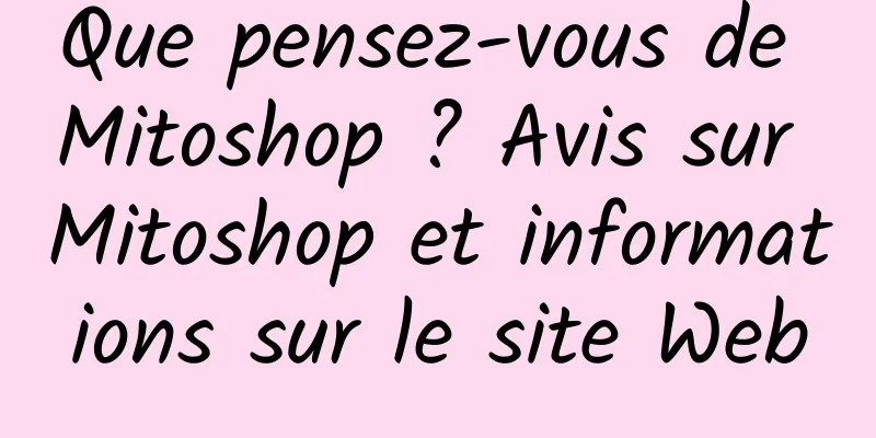 Que pensez-vous de Mitoshop ? Avis sur Mitoshop et informations sur le site Web