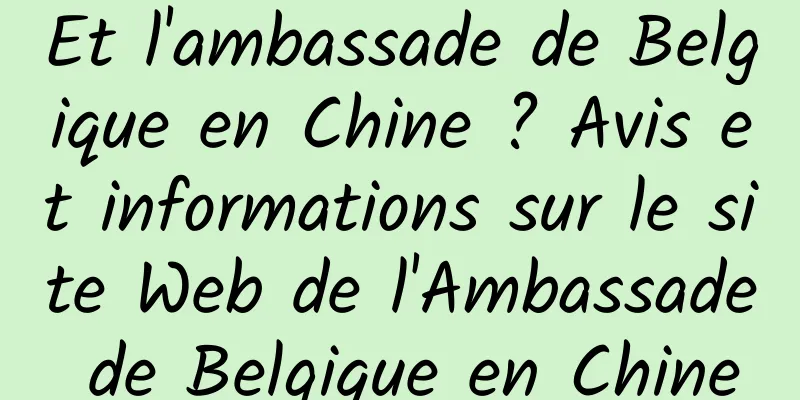 Et l'ambassade de Belgique en Chine ? Avis et informations sur le site Web de l'Ambassade de Belgique en Chine