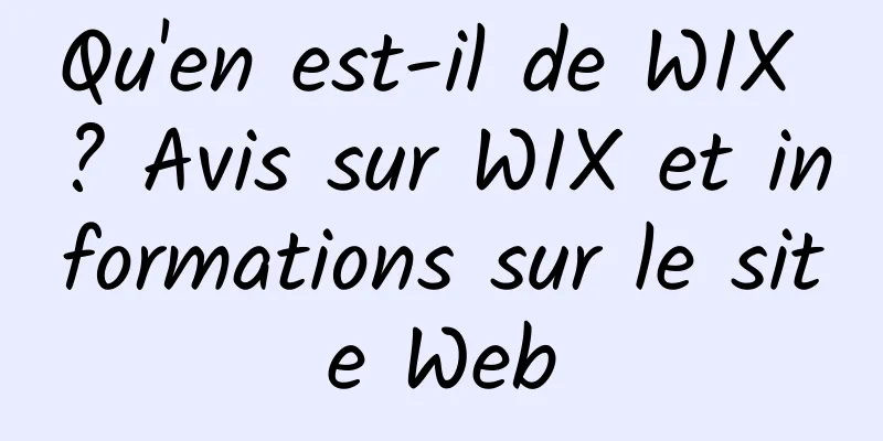 Qu'en est-il de WIX ? Avis sur WIX et informations sur le site Web