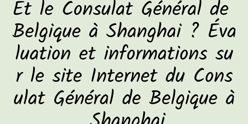 Et le Consulat Général de Belgique à Shanghai ? Évaluation et informations sur le site Internet du Consulat Général de Belgique à Shanghai