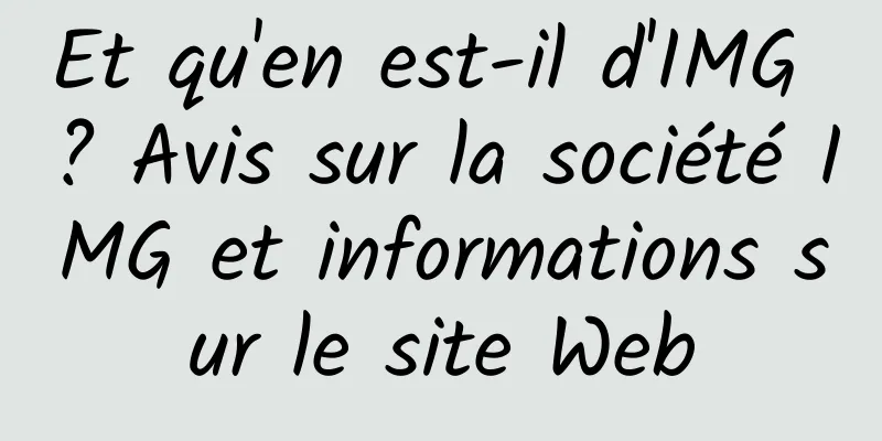 Et qu'en est-il d'IMG ? Avis sur la société IMG et informations sur le site Web