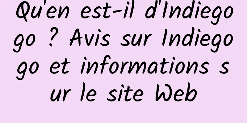 Qu'en est-il d'Indiegogo ? Avis sur Indiegogo et informations sur le site Web