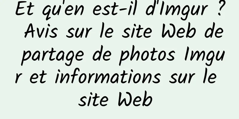 Et qu'en est-il d'Imgur ? Avis sur le site Web de partage de photos Imgur et informations sur le site Web 