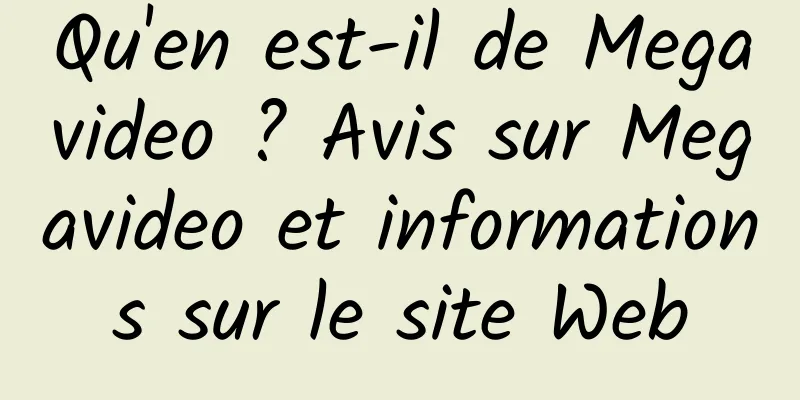 Qu'en est-il de Megavideo ? Avis sur Megavideo et informations sur le site Web