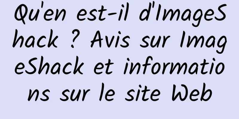 Qu'en est-il d'ImageShack ? Avis sur ImageShack et informations sur le site Web