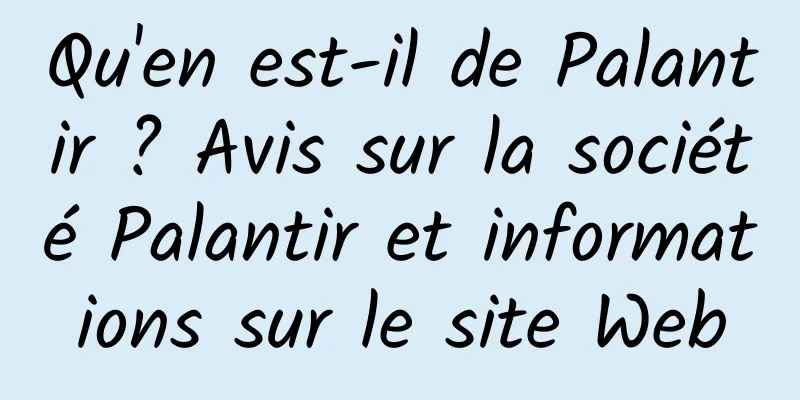 Qu'en est-il de Palantir ? Avis sur la société Palantir et informations sur le site Web