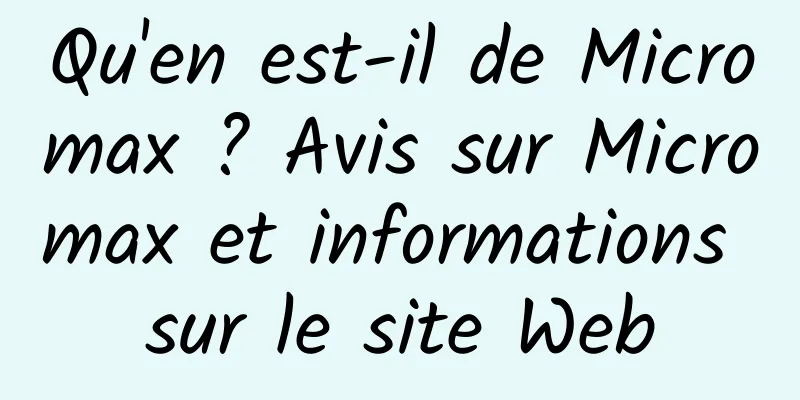 Qu'en est-il de Micromax ? Avis sur Micromax et informations sur le site Web