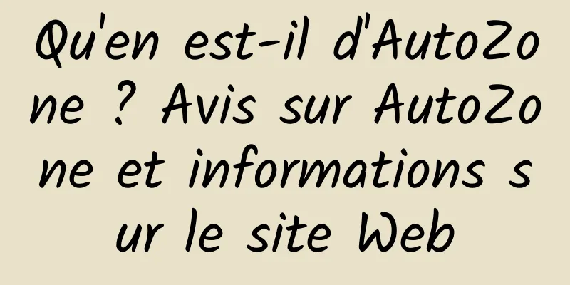 Qu'en est-il d'AutoZone ? Avis sur AutoZone et informations sur le site Web