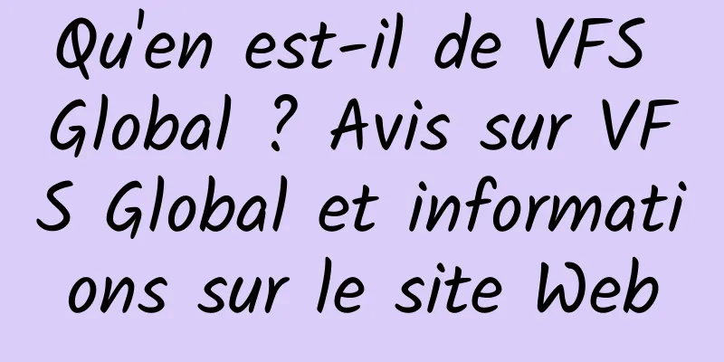 Qu'en est-il de VFS Global ? Avis sur VFS Global et informations sur le site Web