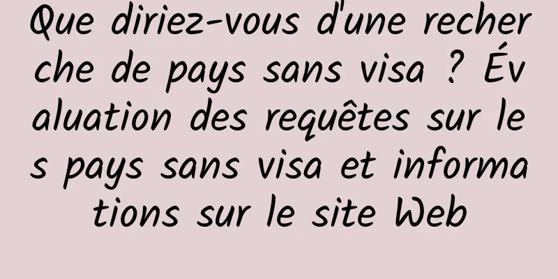 Que diriez-vous d'une recherche de pays sans visa ? Évaluation des requêtes sur les pays sans visa et informations sur le site Web