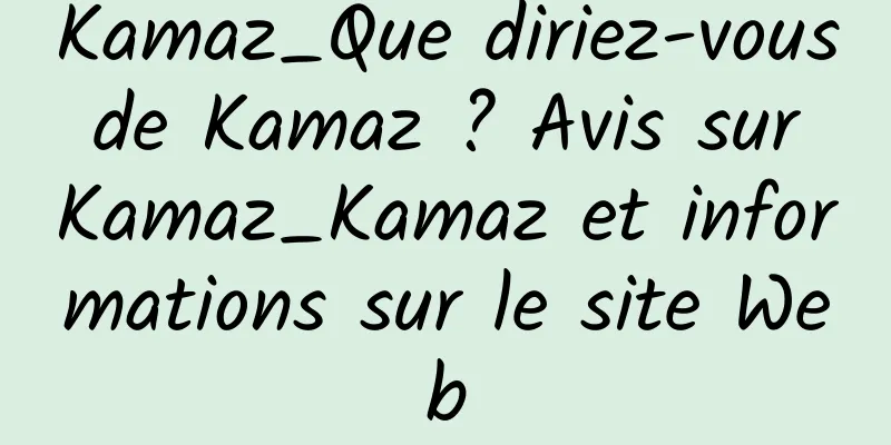 Kamaz_Que diriez-vous de Kamaz ? Avis sur Kamaz_Kamaz et informations sur le site Web