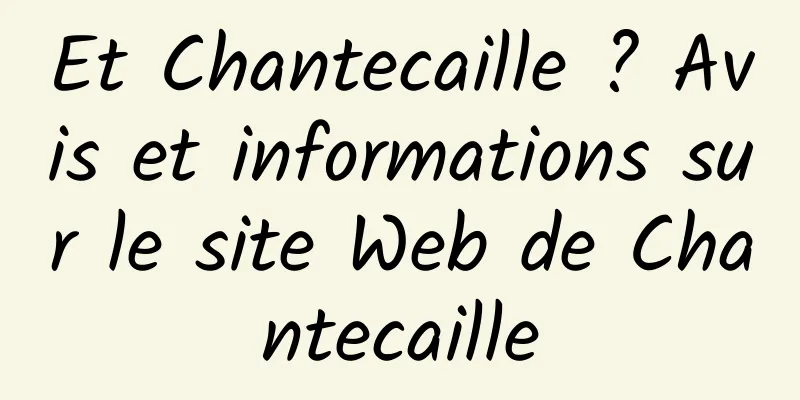 Et Chantecaille ? Avis et informations sur le site Web de Chantecaille