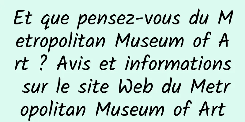 Et que pensez-vous du Metropolitan Museum of Art ? Avis et informations sur le site Web du Metropolitan Museum of Art