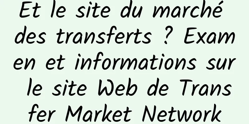 Et le site du marché des transferts ? Examen et informations sur le site Web de Transfer Market Network
