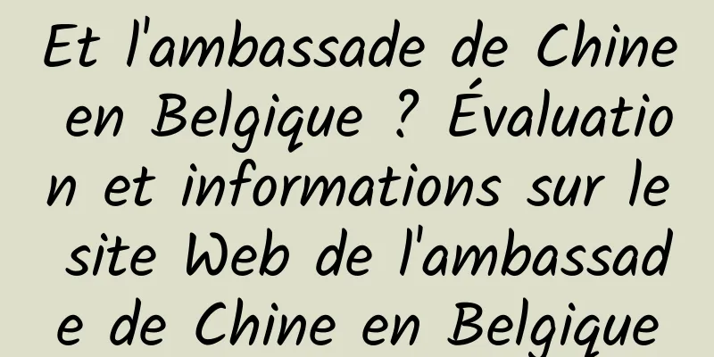 Et l'ambassade de Chine en Belgique ? Évaluation et informations sur le site Web de l'ambassade de Chine en Belgique