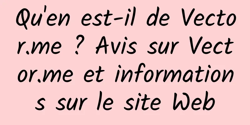 Qu'en est-il de Vector.me ? Avis sur Vector.me et informations sur le site Web