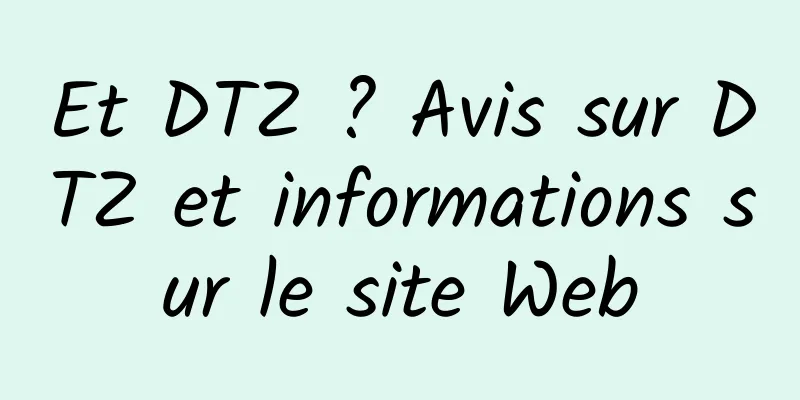 Et DTZ ? Avis sur DTZ et informations sur le site Web