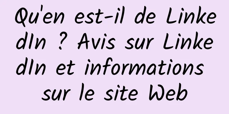 Qu'en est-il de LinkedIn ? Avis sur LinkedIn et informations sur le site Web