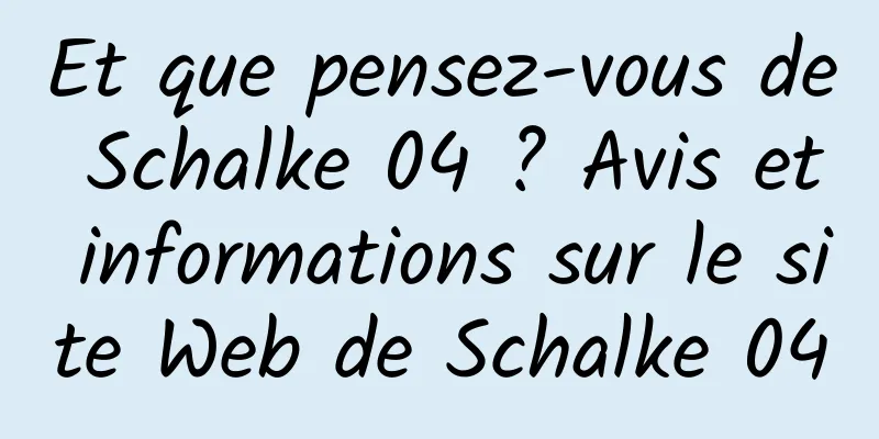 Et que pensez-vous de Schalke 04 ? Avis et informations sur le site Web de Schalke 04