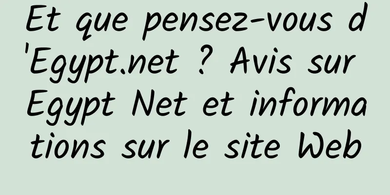 Et que pensez-vous d'Egypt.net ? Avis sur Egypt Net et informations sur le site Web