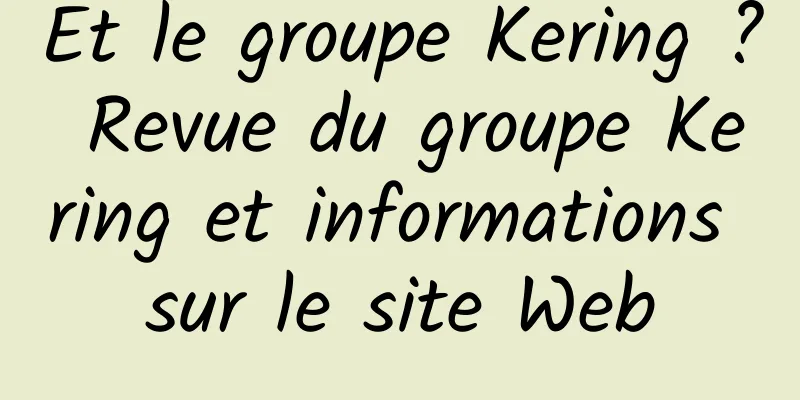 Et le groupe Kering ? Revue du groupe Kering et informations sur le site Web