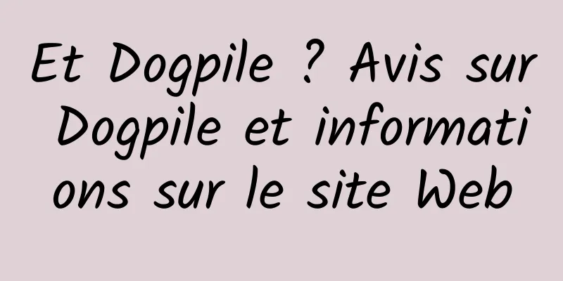 Et Dogpile ? Avis sur Dogpile et informations sur le site Web