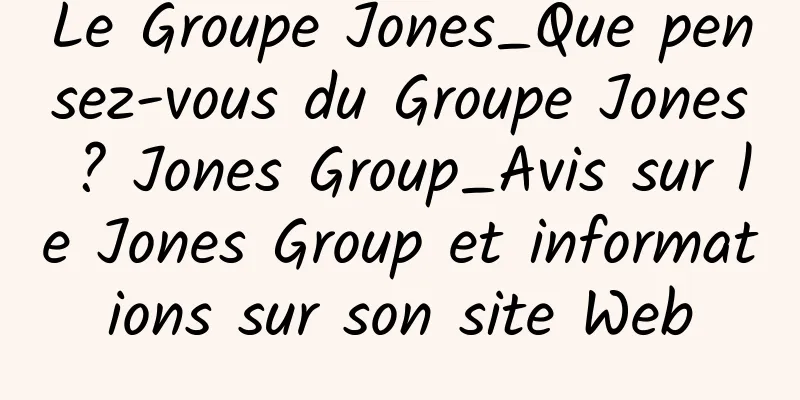 Le Groupe Jones_Que pensez-vous du Groupe Jones ? Jones Group_Avis sur le Jones Group et informations sur son site Web