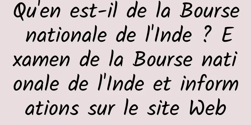 Qu'en est-il de la Bourse nationale de l'Inde ? Examen de la Bourse nationale de l'Inde et informations sur le site Web